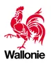 Walloon Region